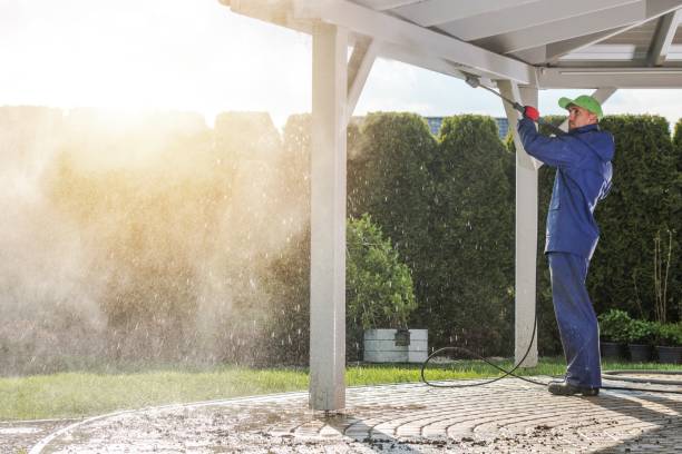 Best Warehouse Cleaning  in Parsons, WV