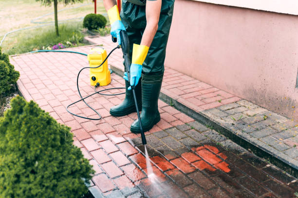 Best Solar Panel Cleaning  in Parsons, WV