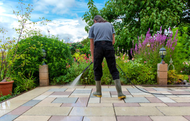 Best Sidewalk and Walkway Cleaning  in Parsons, WV