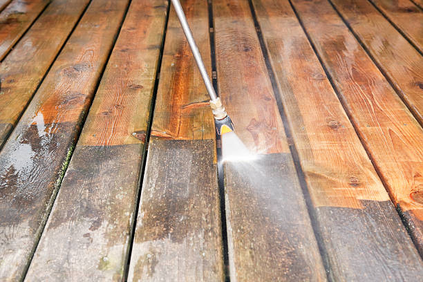 Best Roof Washing  in Parsons, WV